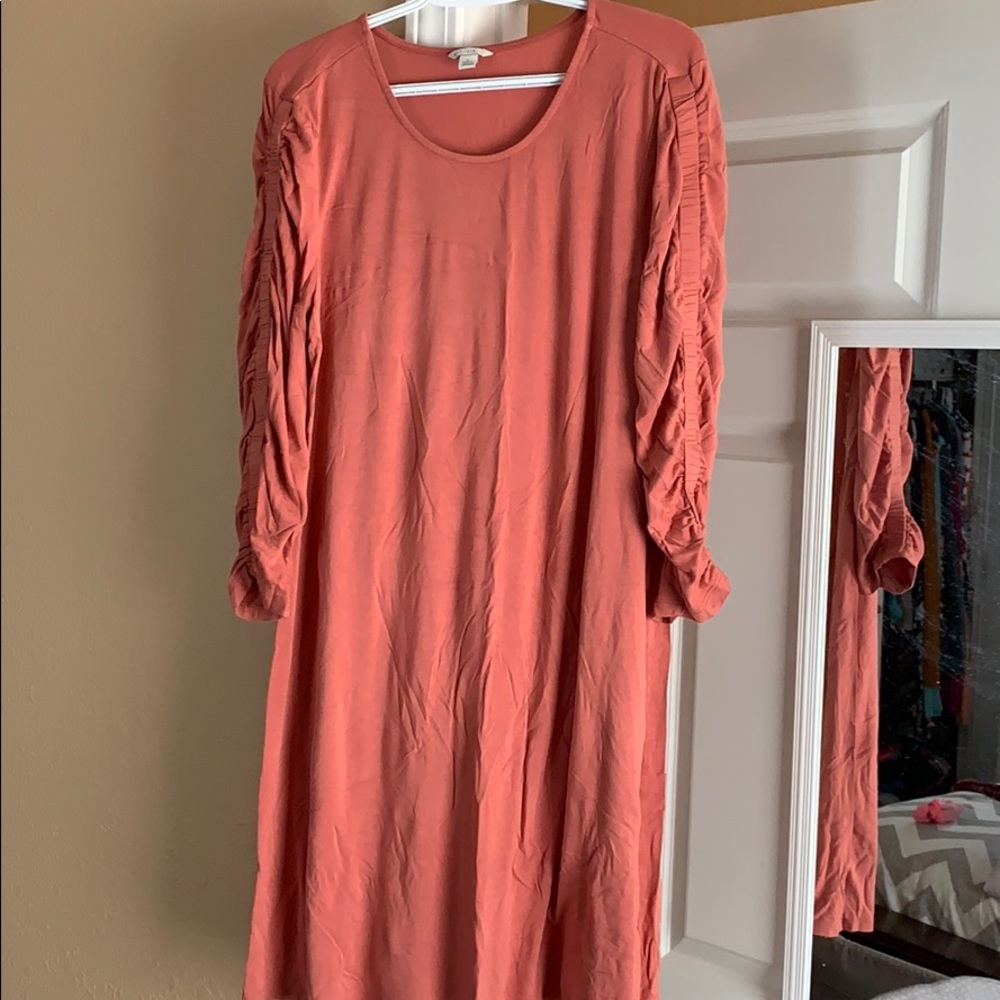 Tee shirt dress or long tunic shirt